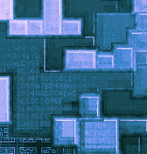 Transaction data visible in relic